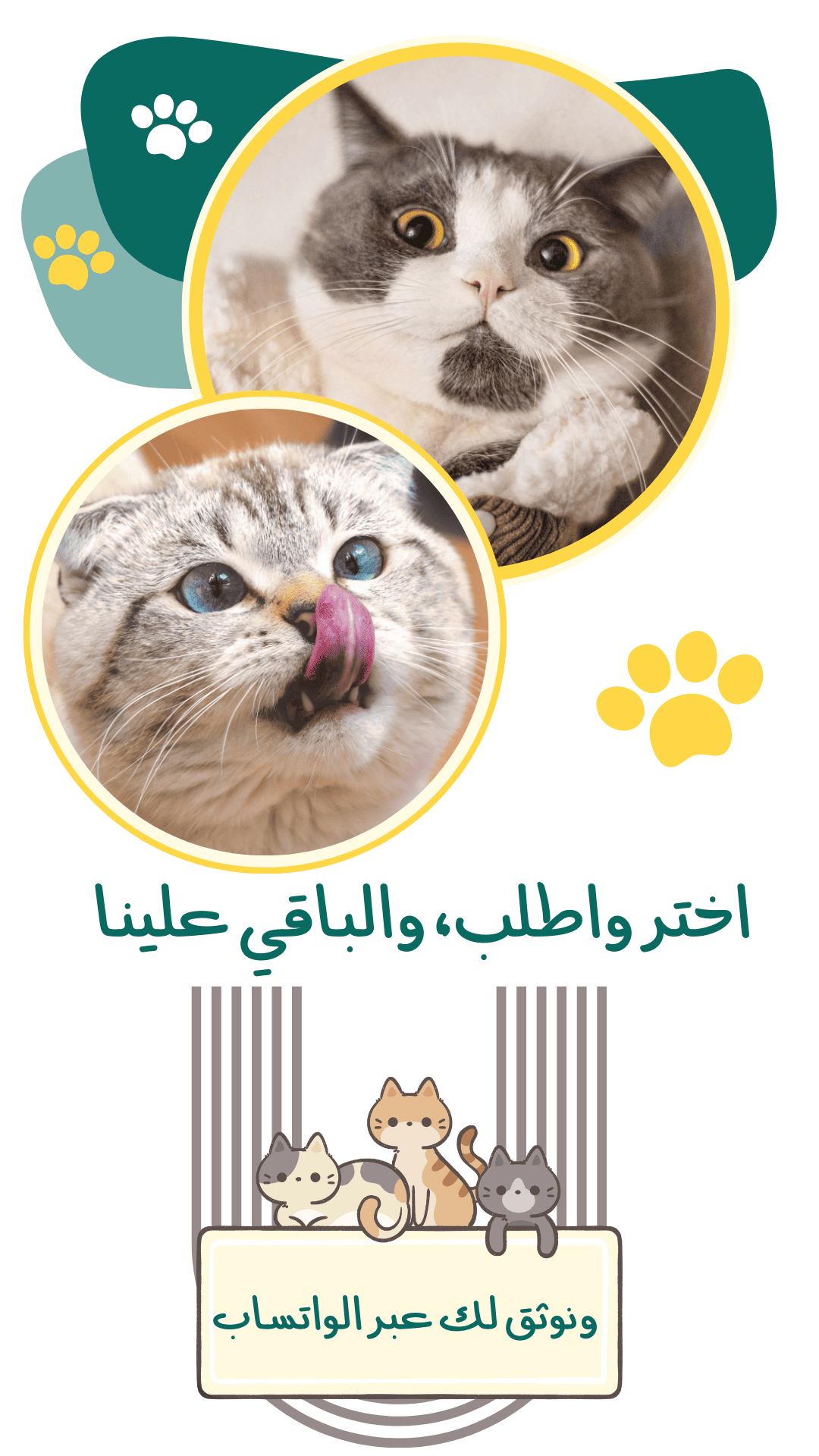 متجر تومي لاطعام قطط الشارع