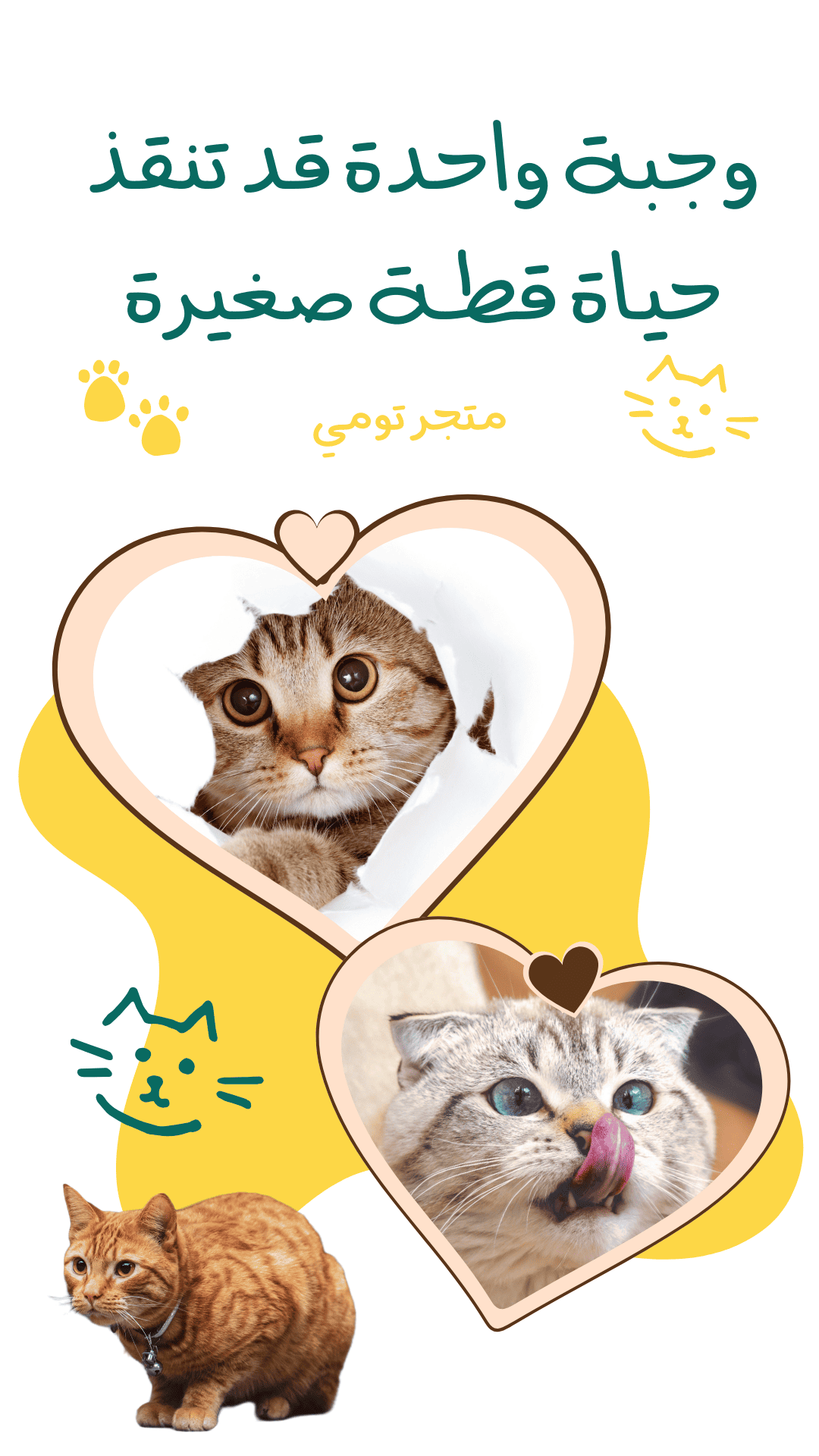 متجر تومي لاطعام قطط الشارع